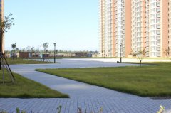 沙河鎮(zhèn)七里渠南北村土地一級開發(fā)項目A、B地塊市政工程-道路及管線工程