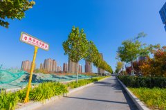 北京科技商務區(qū)（TBD）朱辛莊北路（回昌東路~七燕路）道路工程