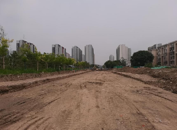 螢火之光 點亮璀璨星河
